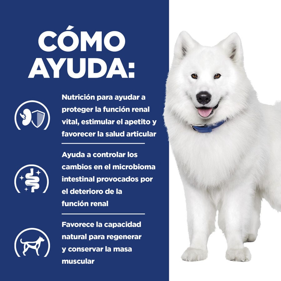 12 kg Hill's Prescription Diet kidney + Mobility pienso para perros, , large Imagen numero 4